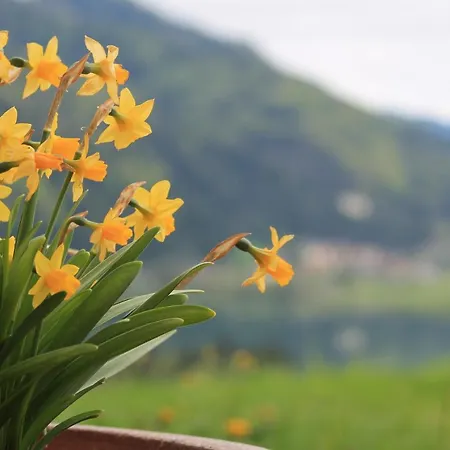 Panorama Chalet Walchsee